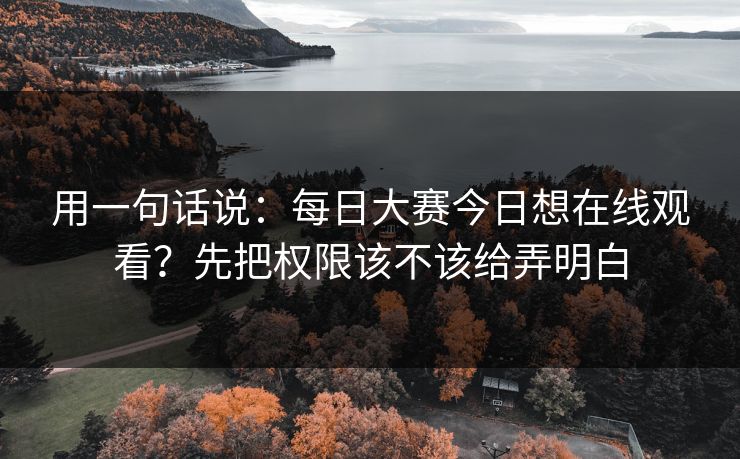 用一句话说：每日大赛今日想在线观看？先把权限该不该给弄明白